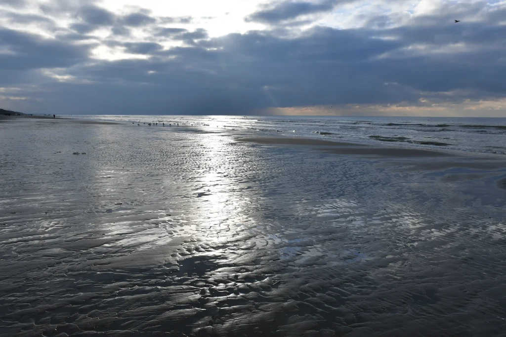 Lumières sur la baie de Somme