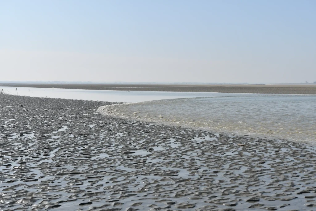 Mascaret baie de Somme